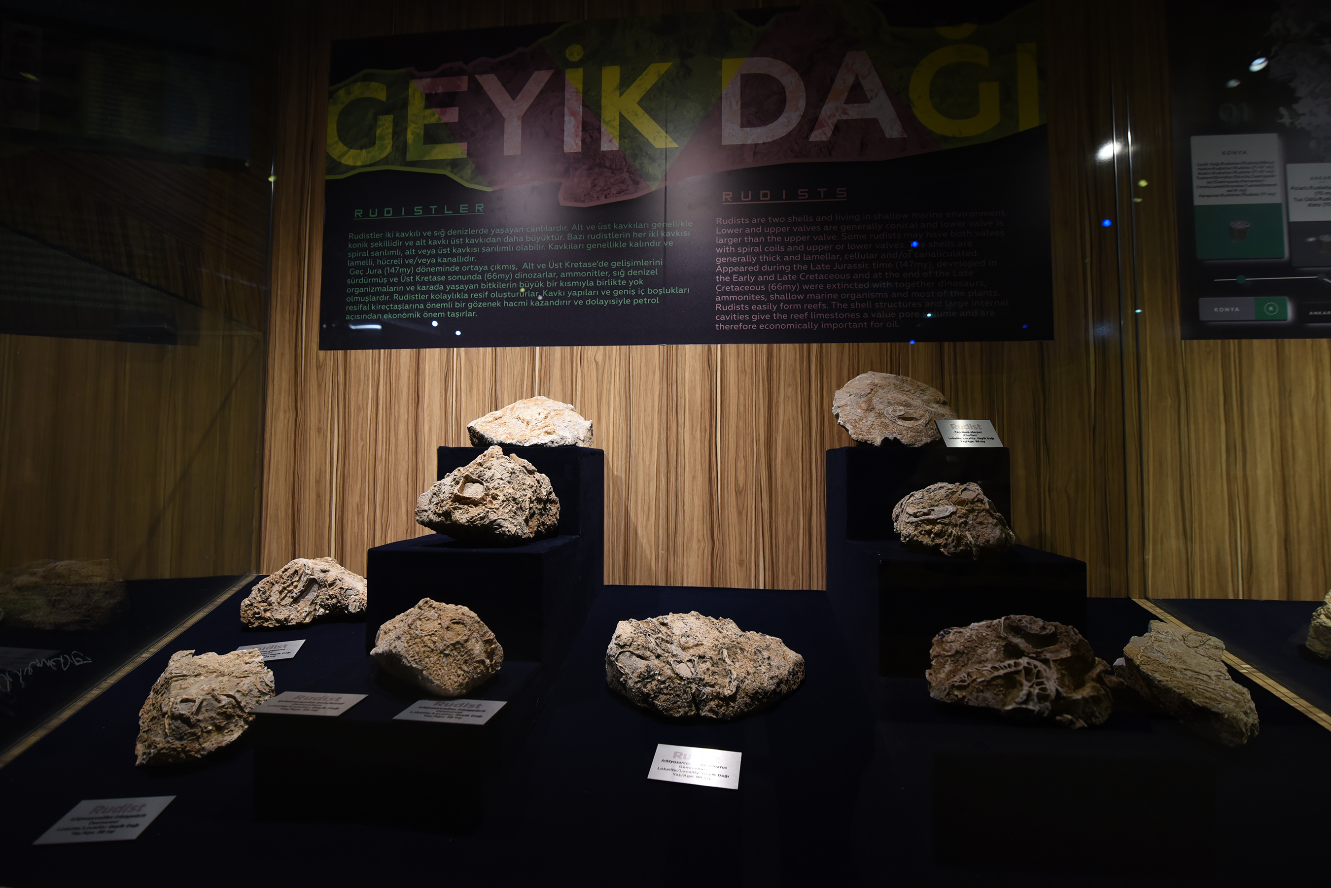 Konya Bilim Merkezi'nde 'Fosil-Taş-Mineral' Sergisi
