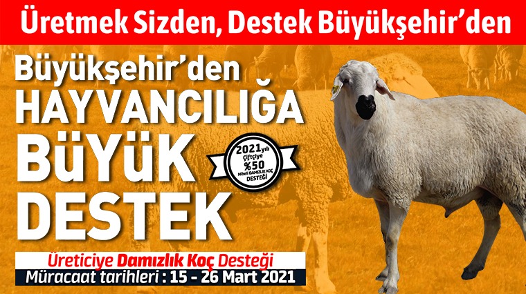 Konya Büyükşehir'den Hayvancılığa Destek
