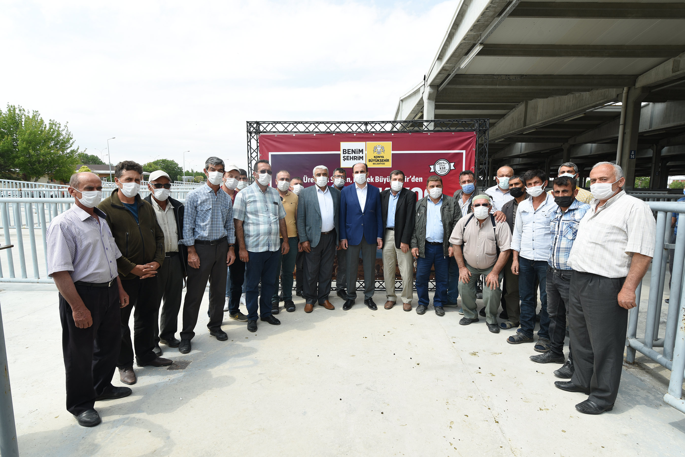 Konya Büyükşehir'den Üreticiye Damızlık Koç Desteği 