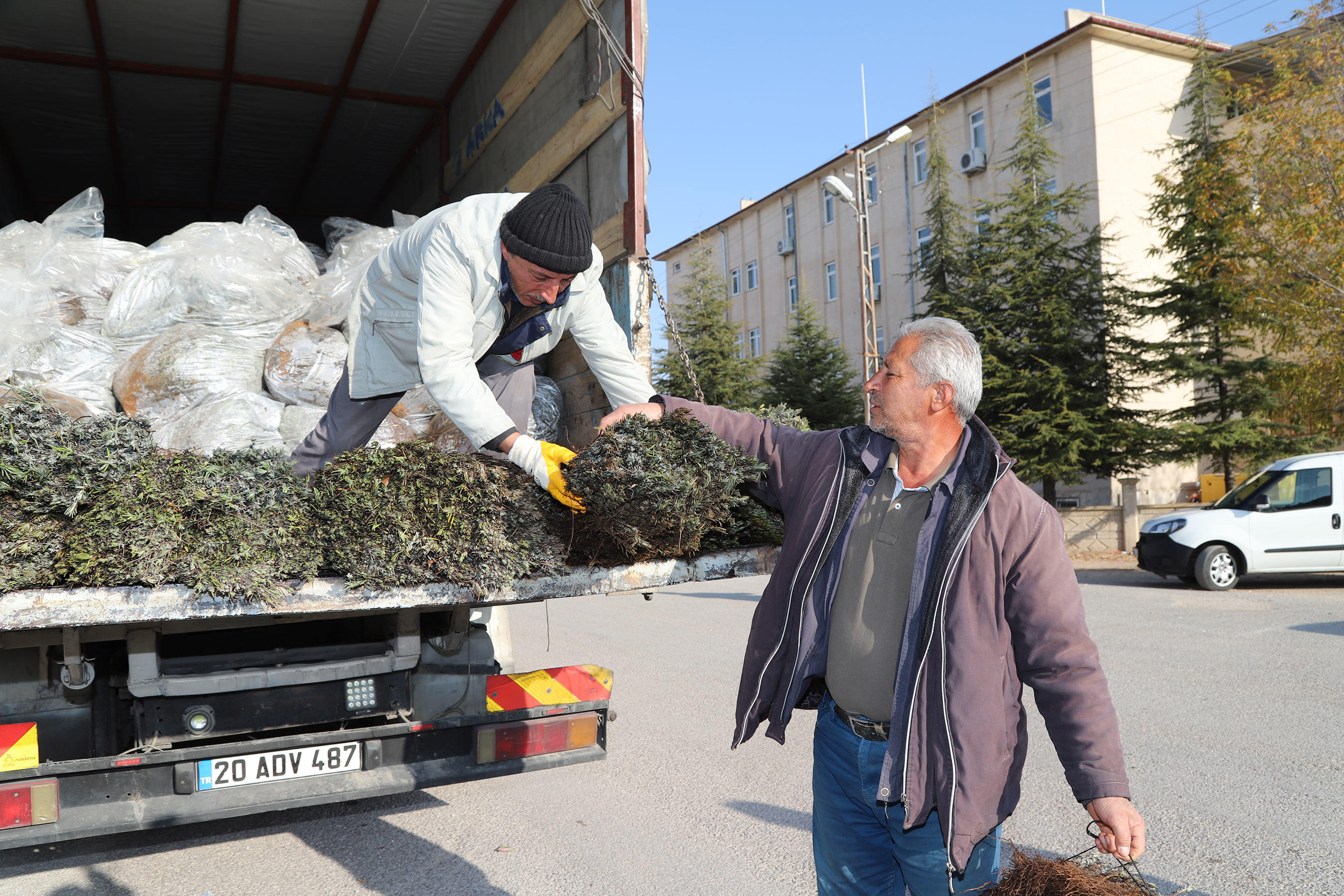 Konya Büyükşehir Üreticiye Lavanta Desteğini Sürdürüyor