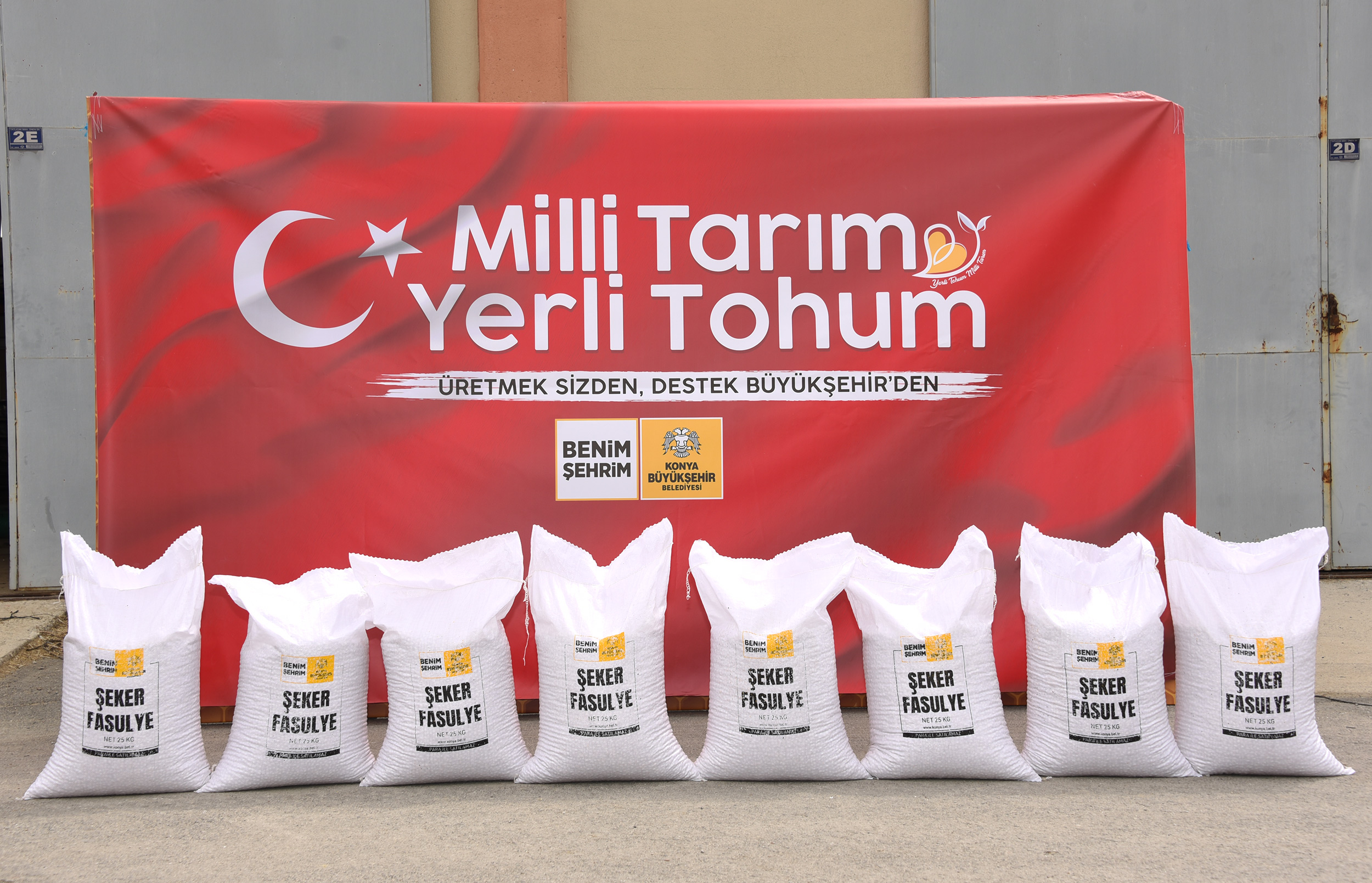 Büyükşehir'den Çiftçiye Yerli Şeker Fasulye Tohumu Desteği 