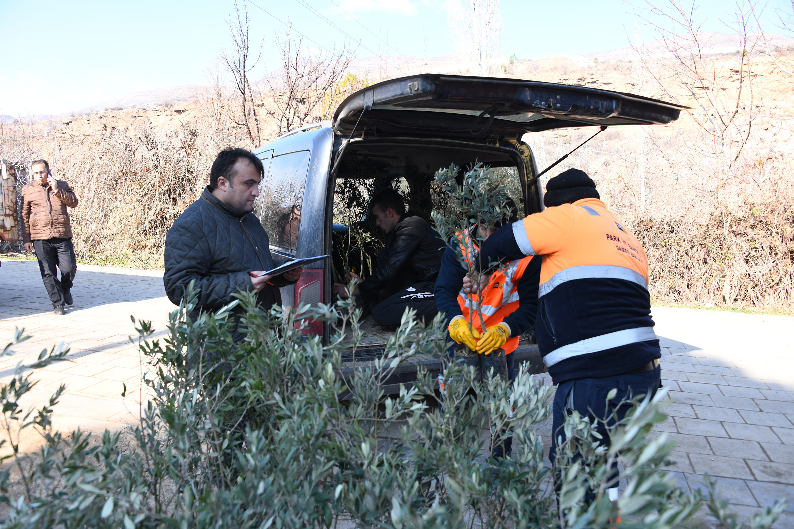 Başkan Altay: 'Zeytin Üretimi İçin 2 İlçemizde Pilot Uygulamaya Başladık'