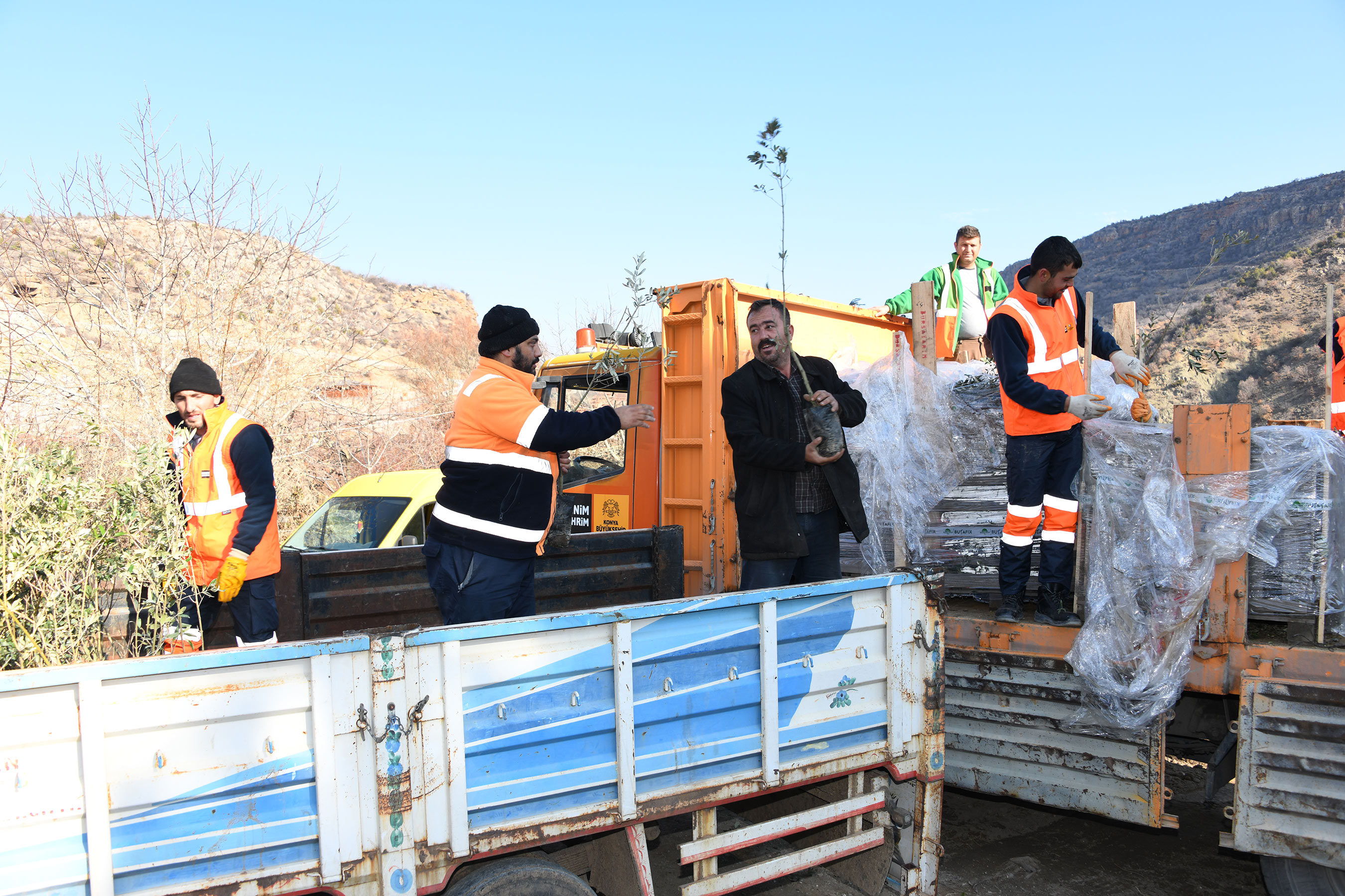 Başkan Altay: 'Zeytin Üretimi İçin 2 İlçemizde Pilot Uygulamaya Başladık'