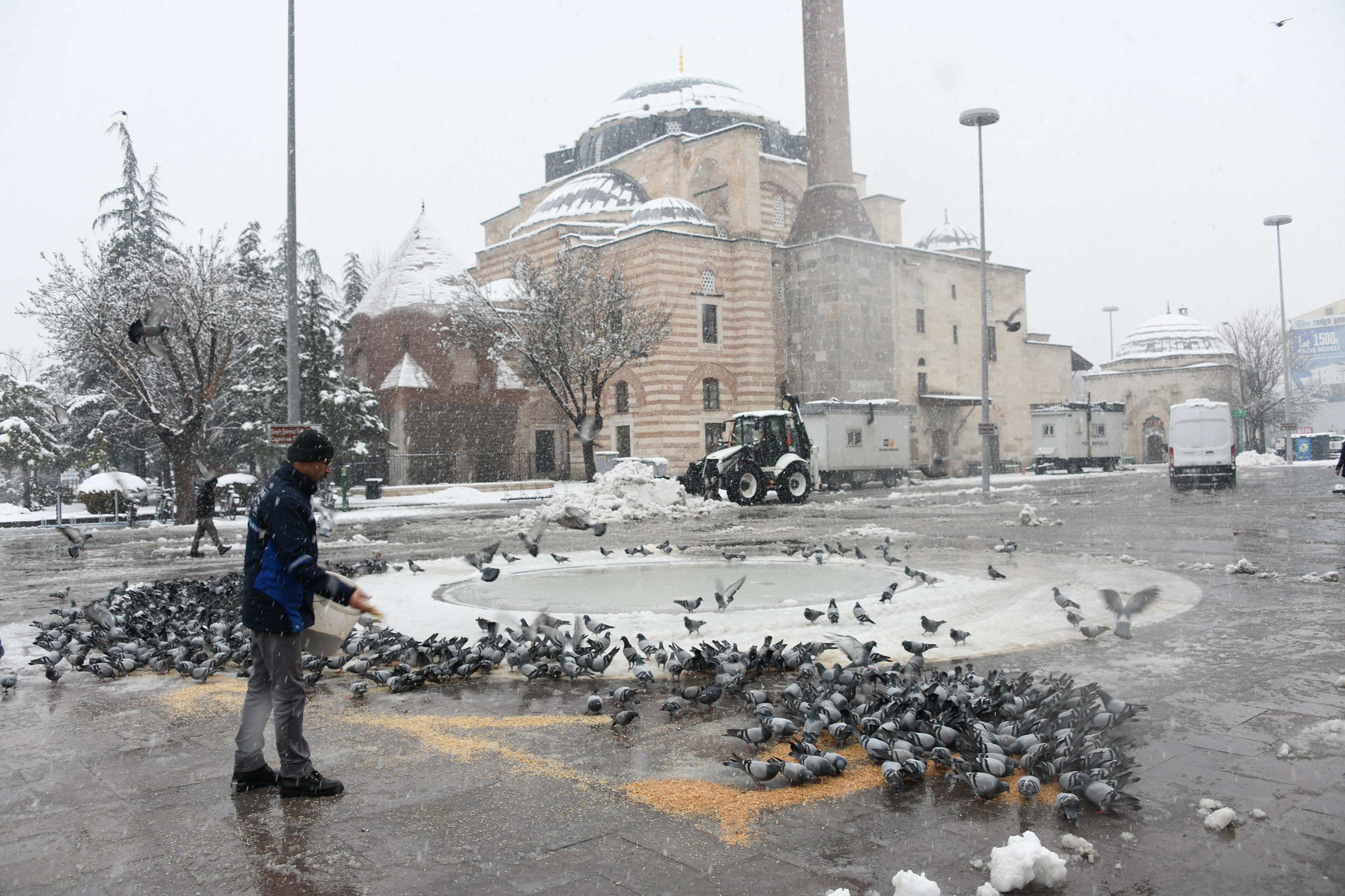 Konya Büyükşehir Soğuk Kış Günlerinde Sahipsiz Hayvanların Yanında 
