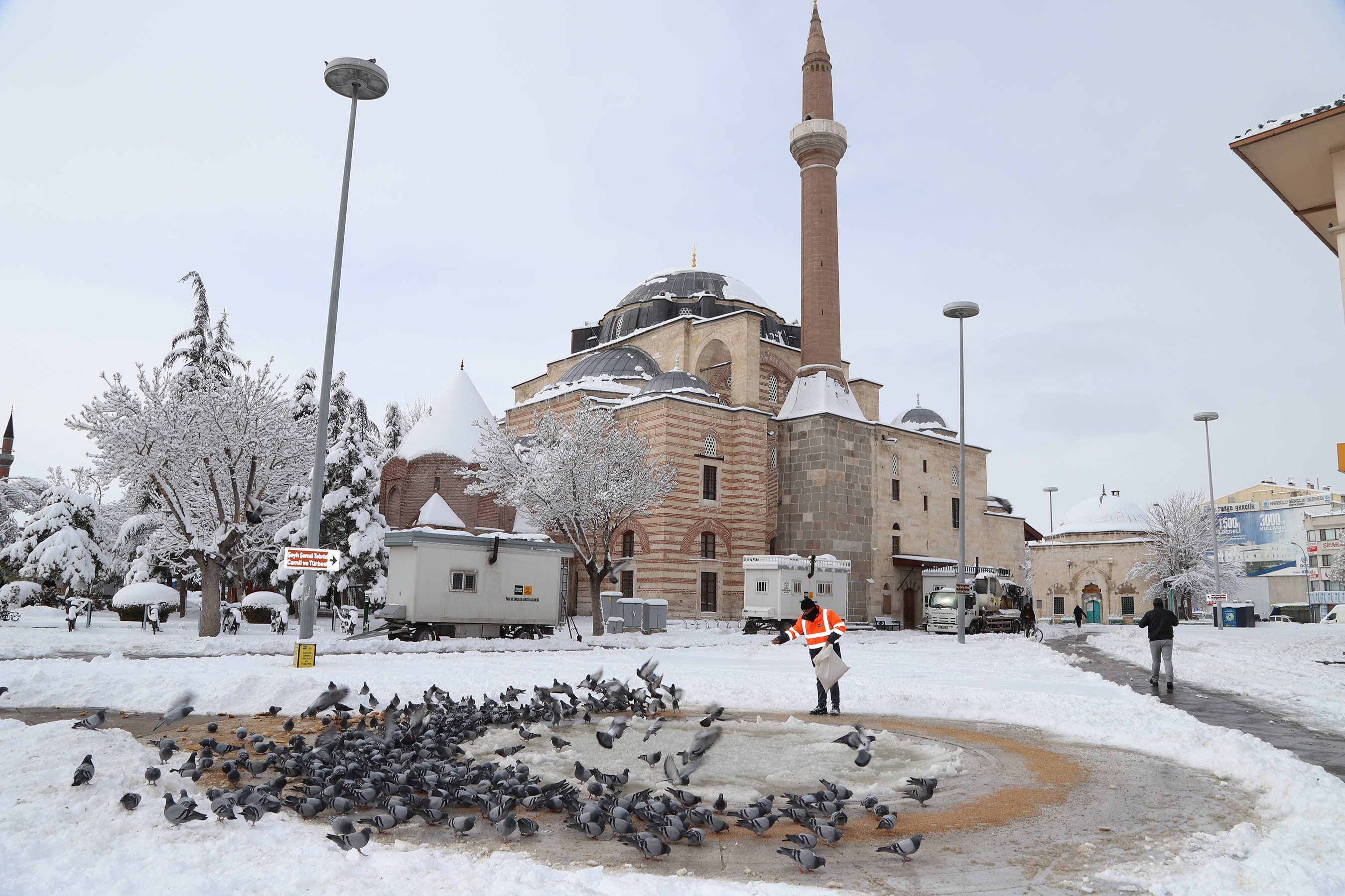 Konya Büyükşehir Ağır Kış Şartlarında Sahipsiz Hayvanların da Yanında