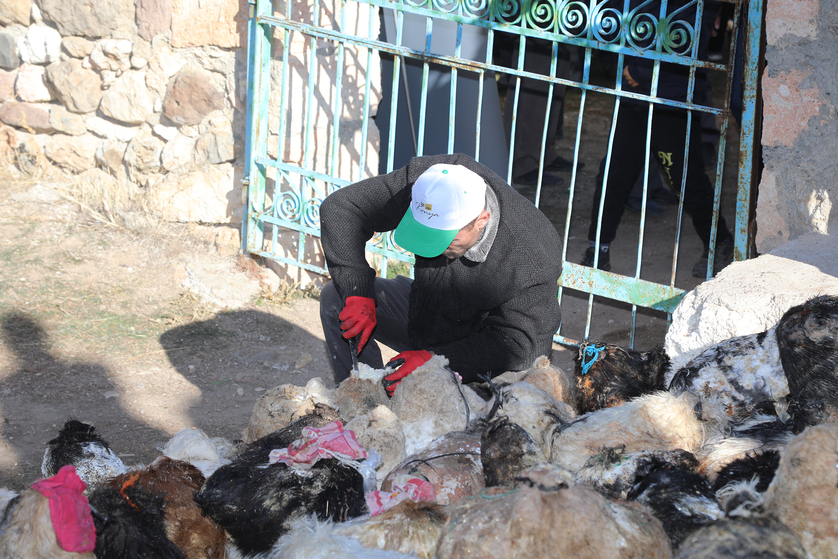 Konya Büyükşehir Kızılören'de Mağaradan Peynir Çıkarma Geleneğini Yaşatıyor 