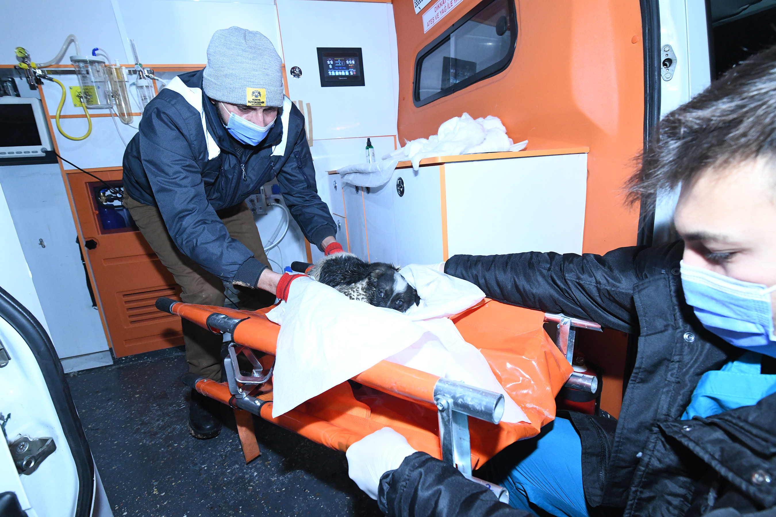Kanalizasyon Hattına Giren Yavru Köpek Konya Büyükşehir Ekiplerince Kurtarıldı