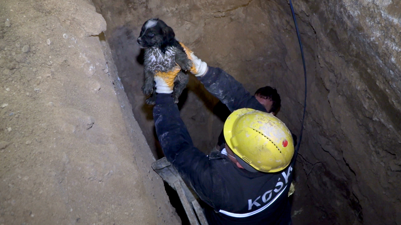 Kanalizasyon Hattına Giren Yavru Köpek Konya Büyükşehir Ekiplerince Kurtarıldı