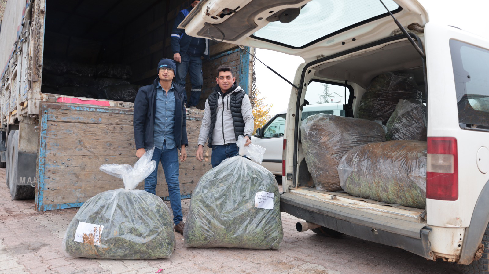 Konya Büyükşehir'in Üreticiye Lavanta Fidesi Desteği Sürüyor