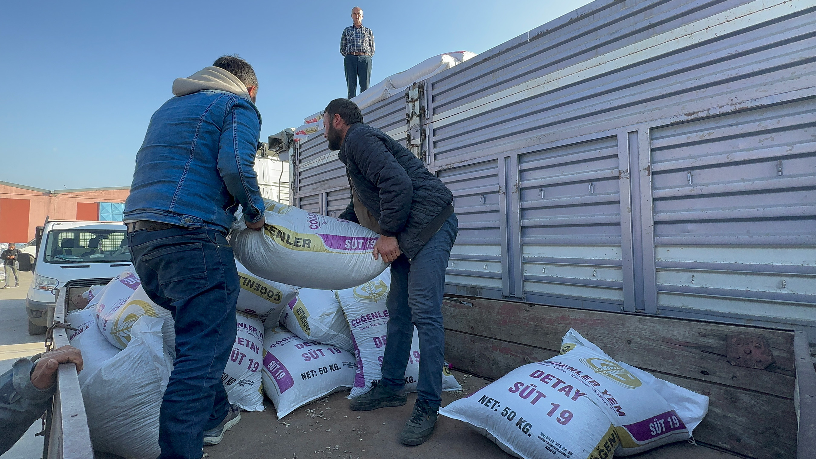 Konya Büyükşehir'in Hatay'a Gönderdiği 10 Tır Yem Hayvan Üreticisine Can Suyu Oldu