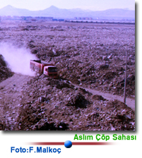 Çöp Sahası Düzenleniyor