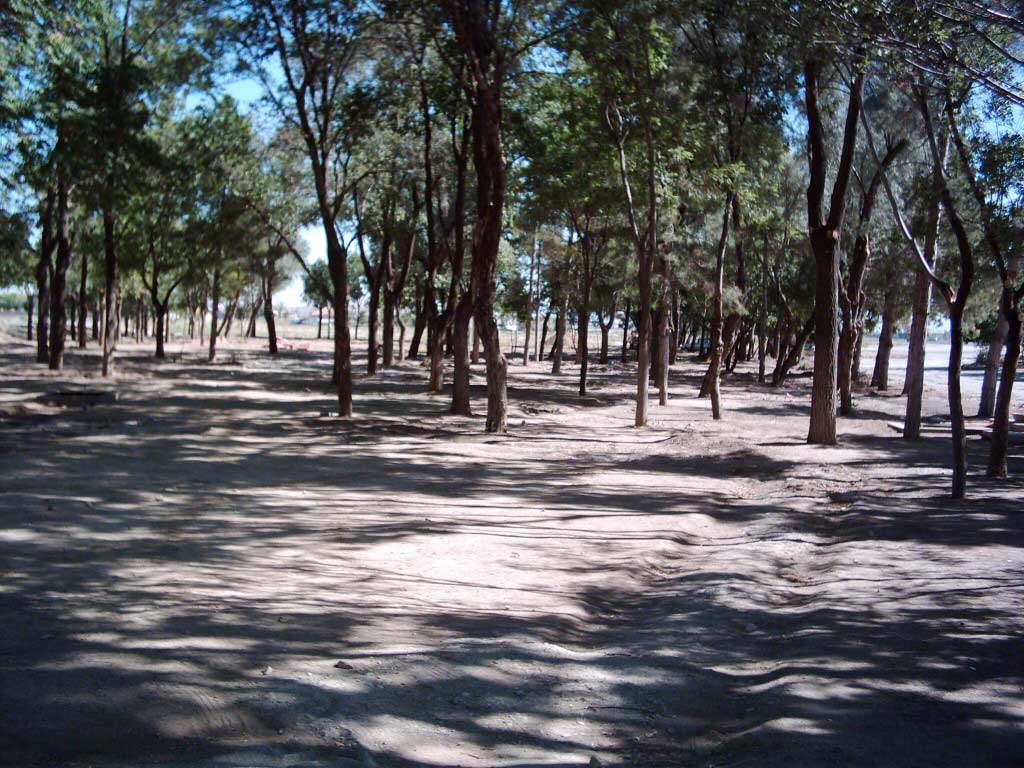 Birlik Parkı Düzenleme Çalışmaları