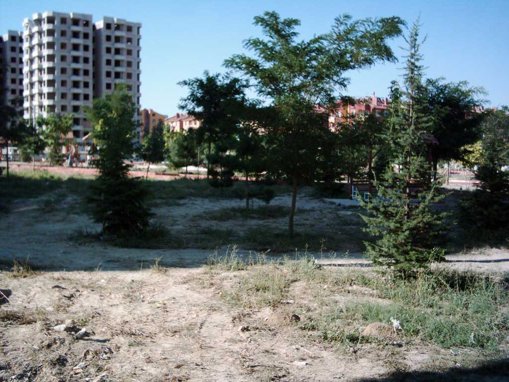 Cumhuriyet Parkı Düzenleme Çalışmaları