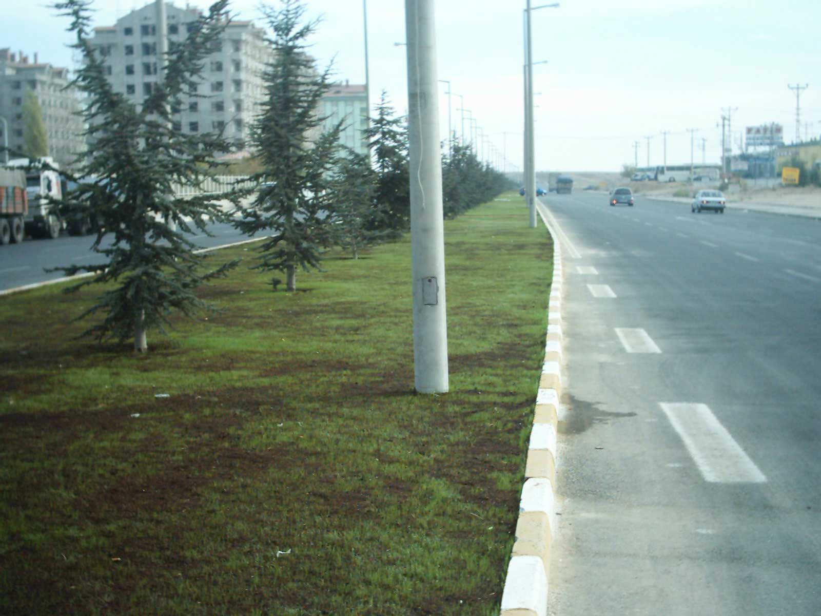 Sadık Ahmet Caddesi Orta Refüj Yeşil Alan Çalışmaları