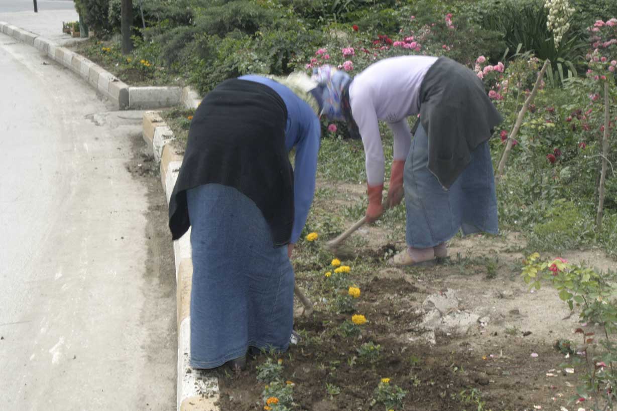Konya 200 Bin Çiçekle Renkleniyor