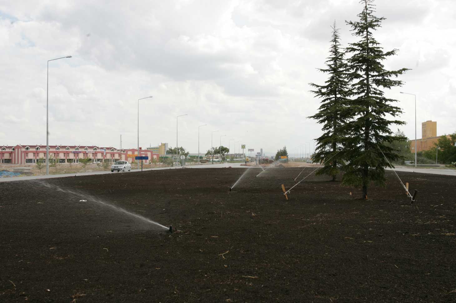 Ankara Yolu Yeşile Büründü