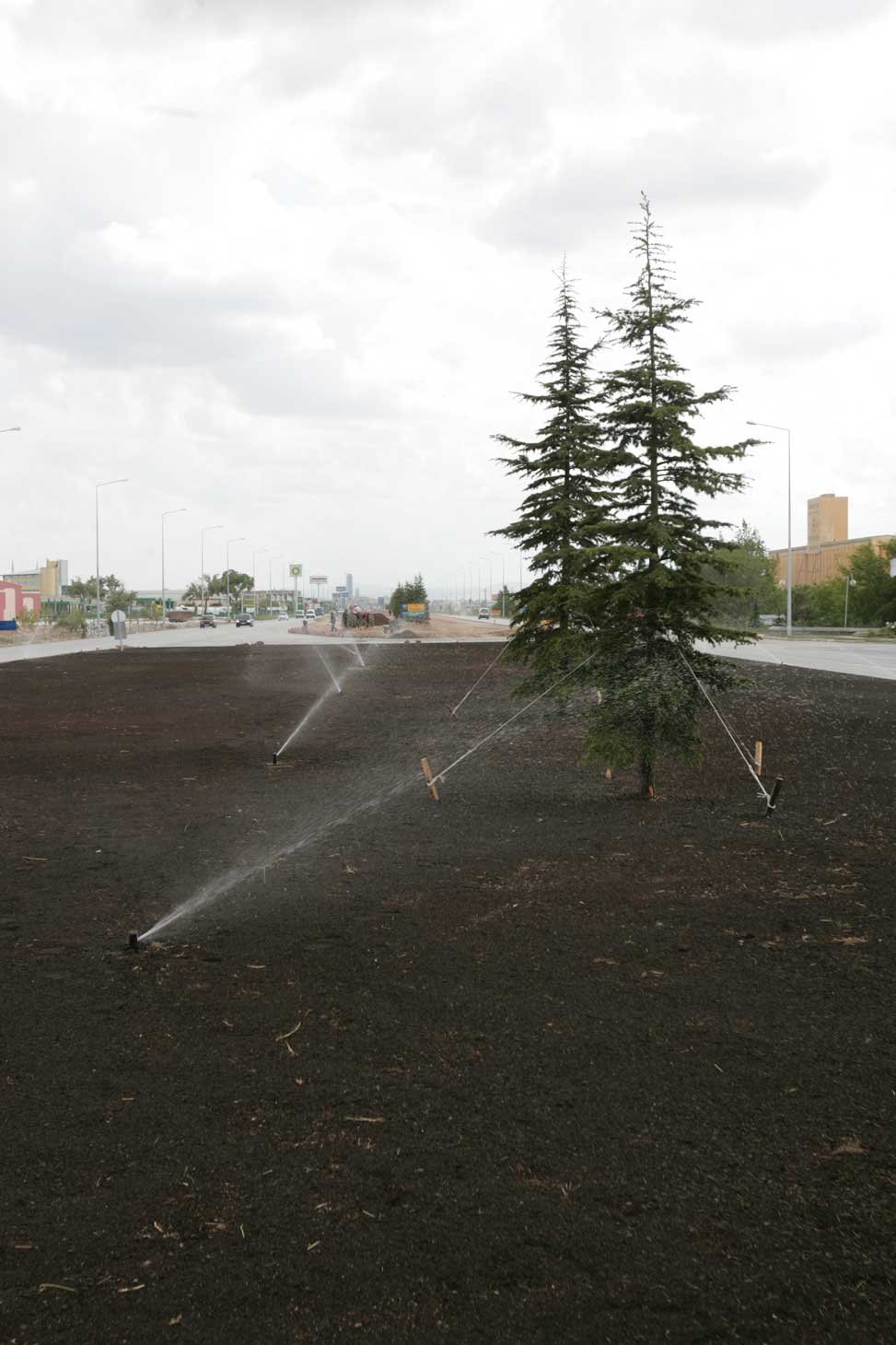 Ankara Yolu Yeşile Büründü