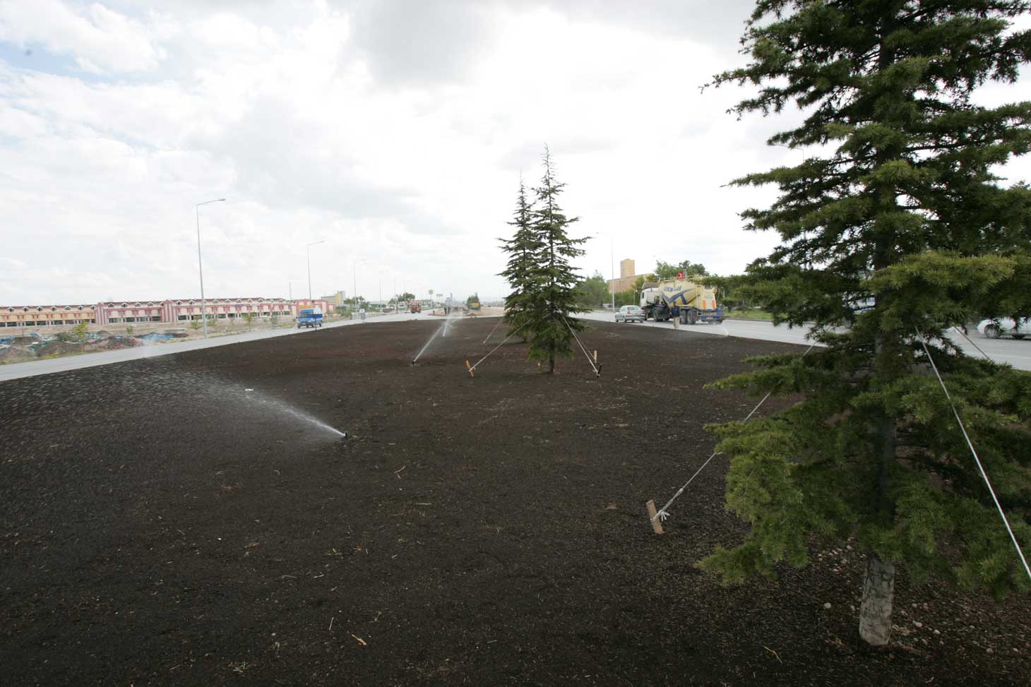 Ankara Yolu Yeşile Büründü