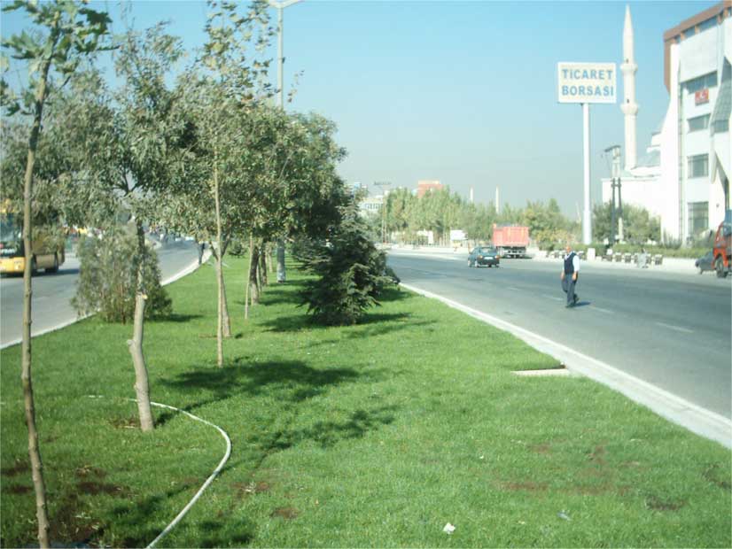 Adana Çevre Yolu Orta Refüj Yeşil Alan Çalışmaları