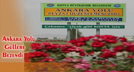 Kendi Ürettiğimiz 60 Bin Gülü Konya'nın Her Yerine Dikiyoruz...