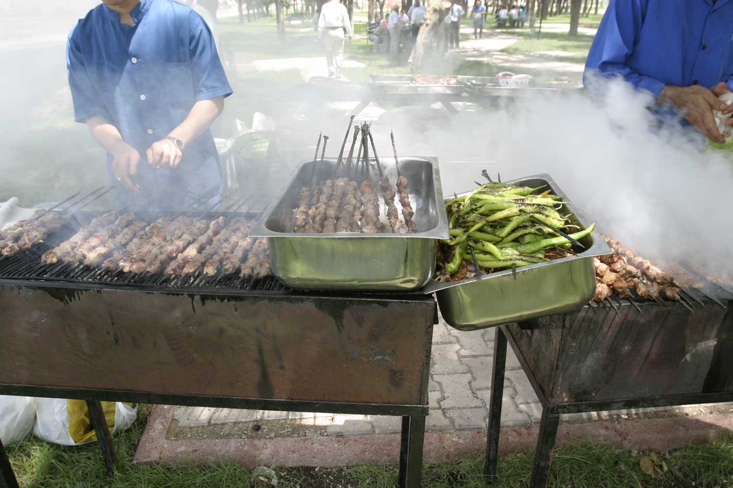 Dikkat Mangal Dumanı Zehirliyor !