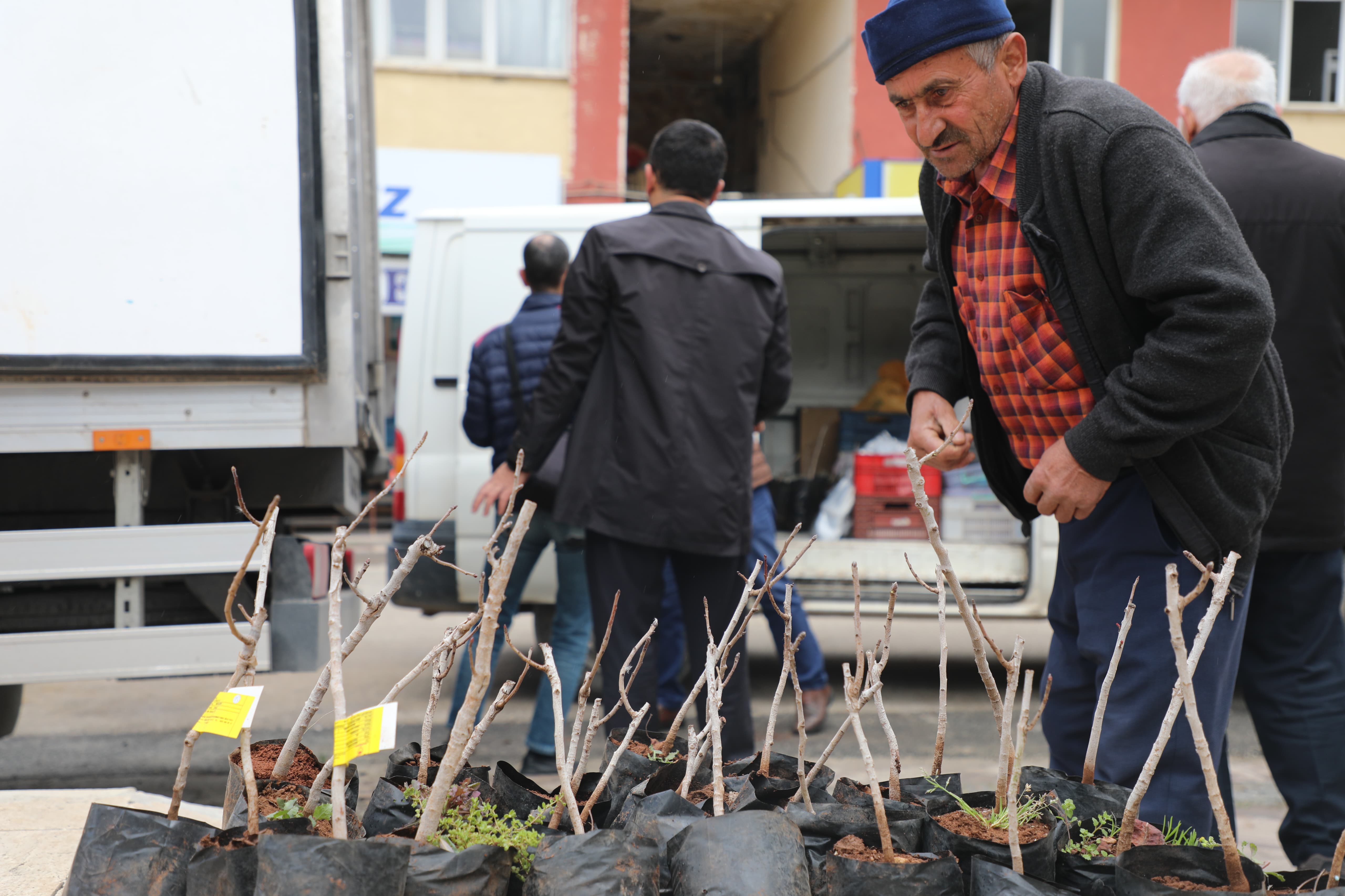 KONYA BÜYÜKŞEHİR’DEN YERKÖPRÜ HAVZASINDAKİ ÜRETİCİYE ANTEP FISTIĞI DESTEĞİ