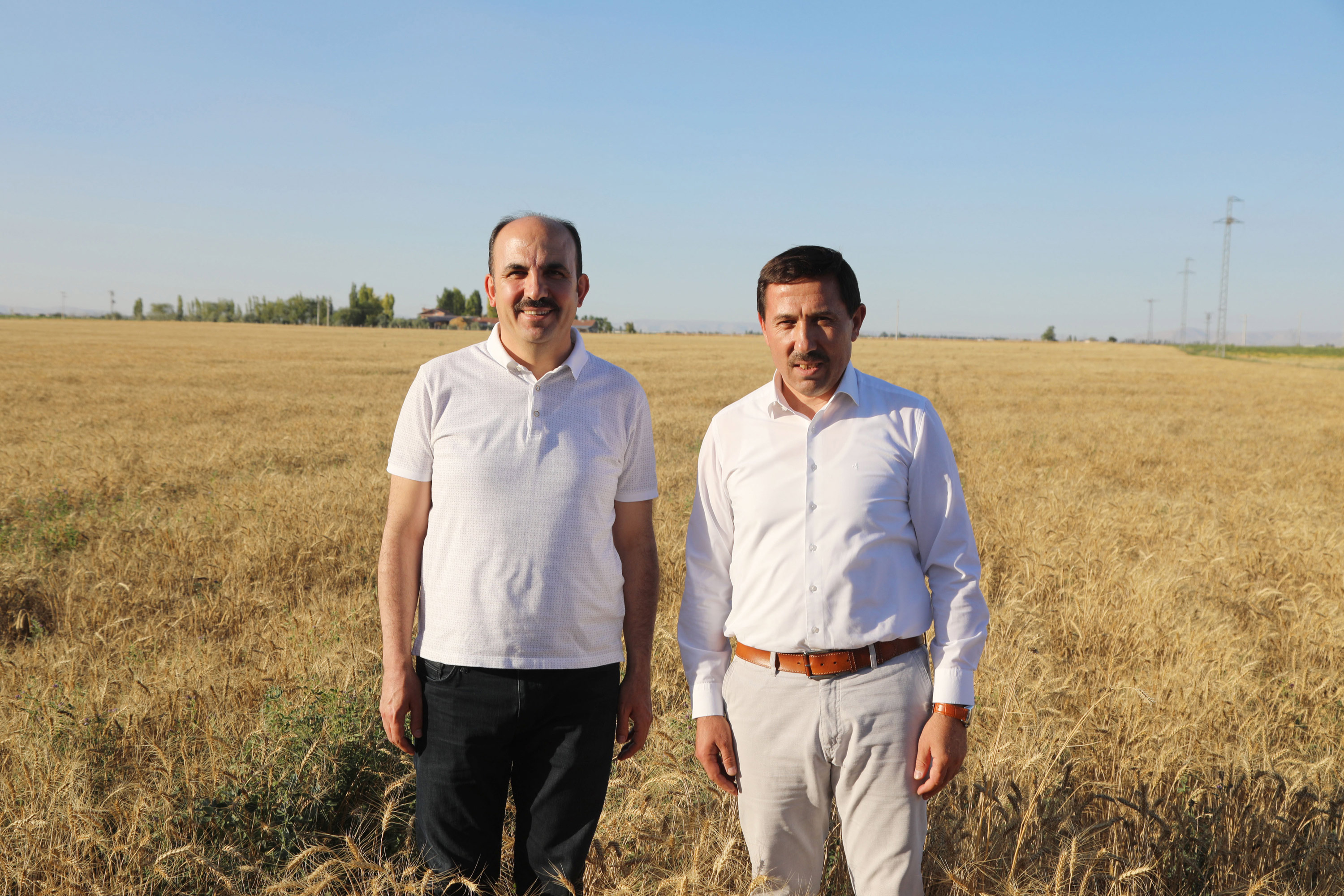 BAŞKAN ALTAY: “SUSUZ TARIMLA YETİŞTİRDİĞİMİZ YERLİ BUĞDAYIN HASADINI YAPTIK”