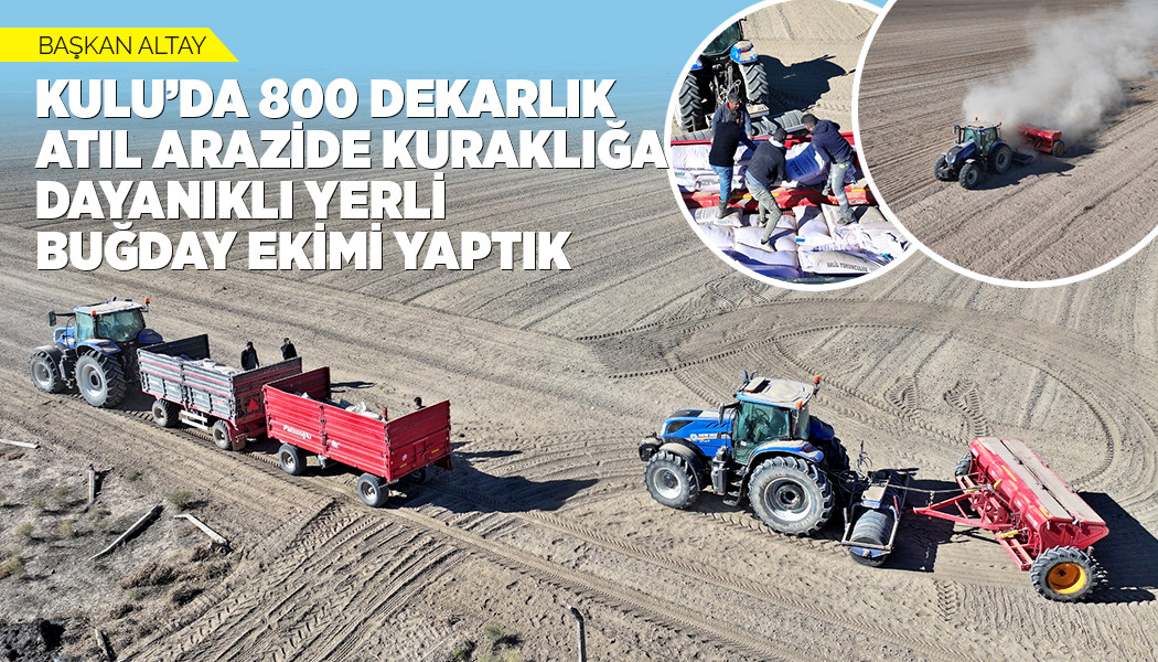 BAŞKAN ALTAY: “KULU’DA 800 DEKARLIK ATIL ARAZİDE KURAKLIĞA DAYANIKLI YERLİ BUĞDAY EKİMİ YAPTIK”