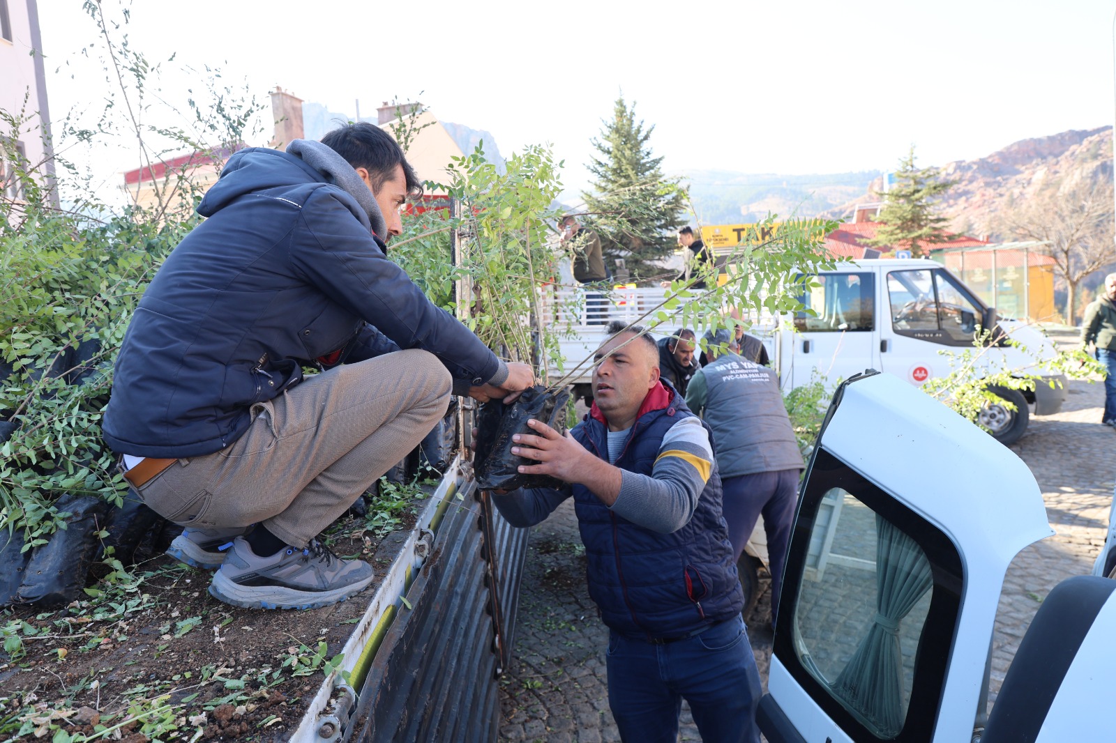 KONYA BÜYÜKŞEHİR BELEDİYESİ’NDEN ÇİFTÇİYE SUMAK FİDANI DESTEĞİ