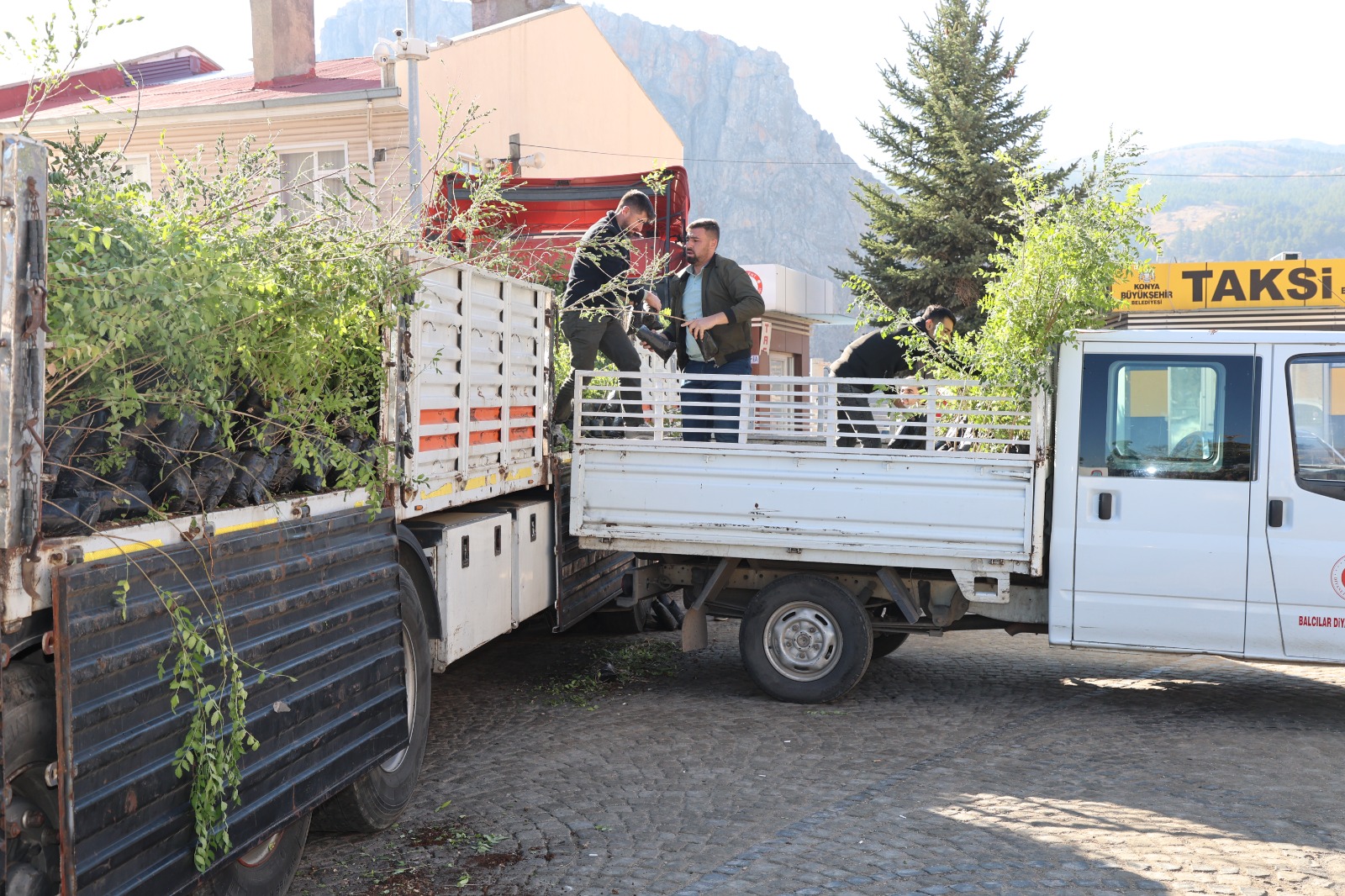 KONYA BÜYÜKŞEHİR BELEDİYESİ’NDEN ÇİFTÇİYE SUMAK FİDANI DESTEĞİ