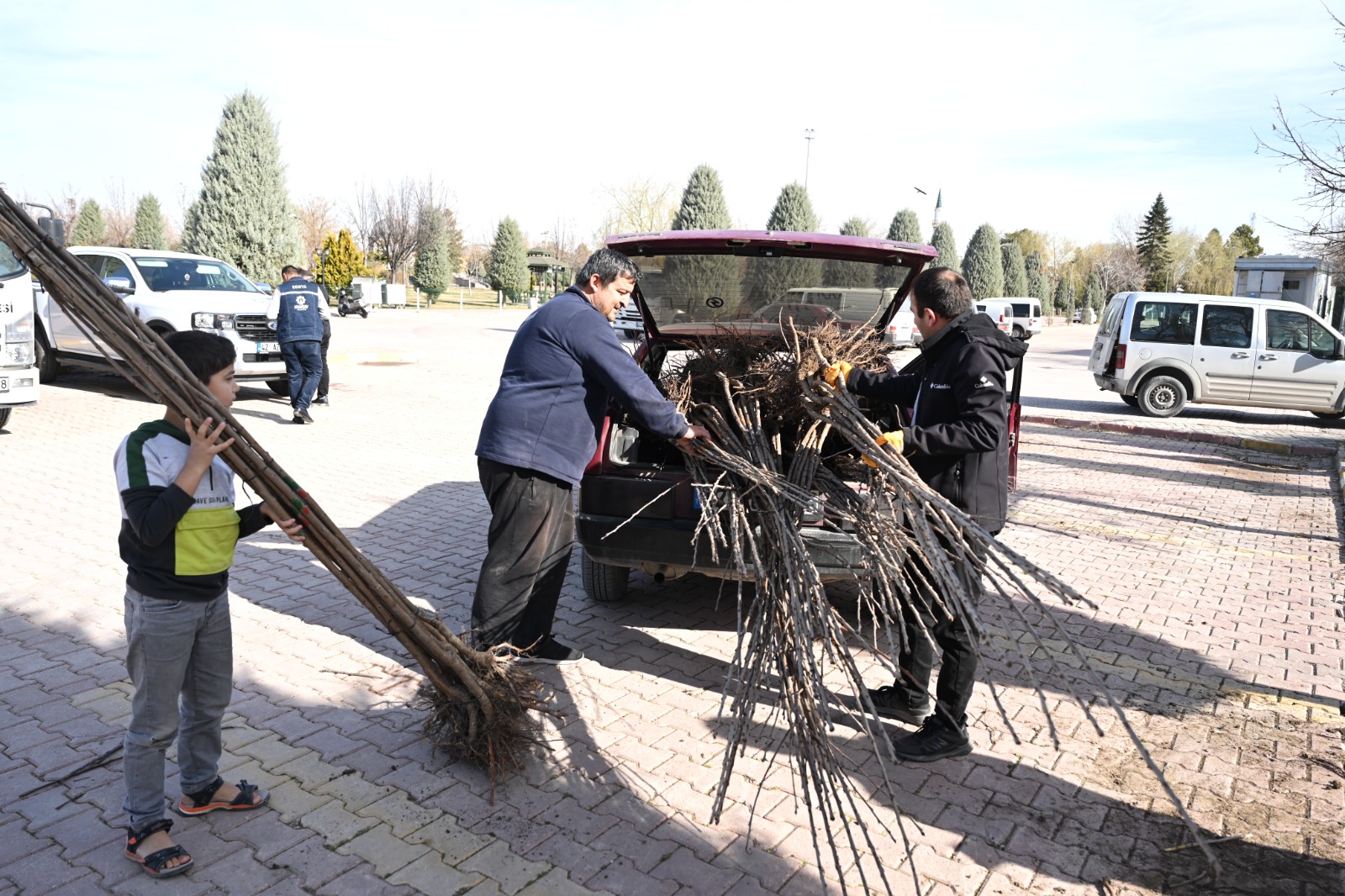 KONYA BÜYÜKŞEHİR TARIMSAL KALKINMA İÇİN BU SEZON 72 BİN MEYVE FİDANI DAĞITIYOR