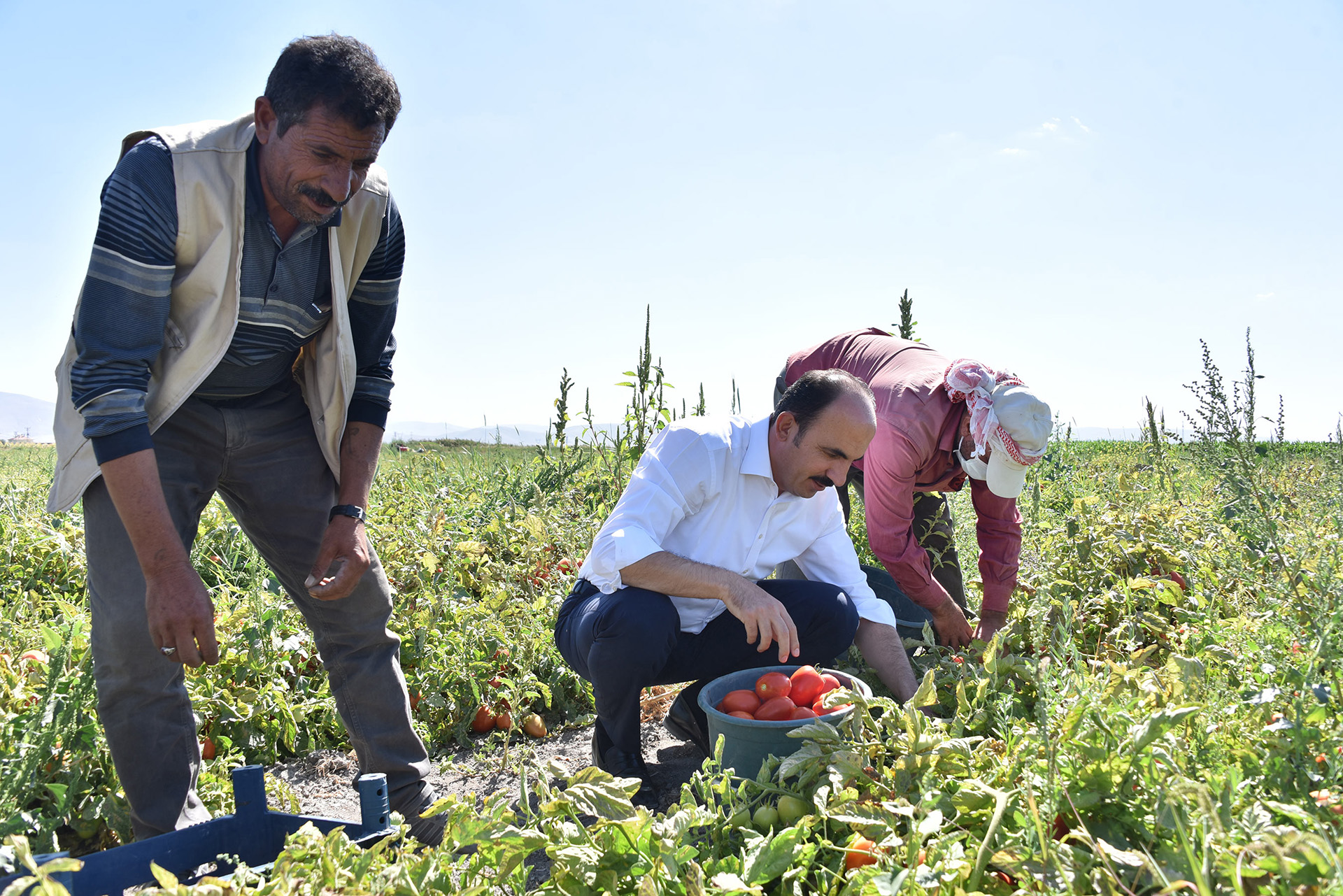 BAŞKAN ALTAY 2026 YILI TARIMSAL DESTEK BAŞVURULARININ BAŞLADIĞINI DUYURDU