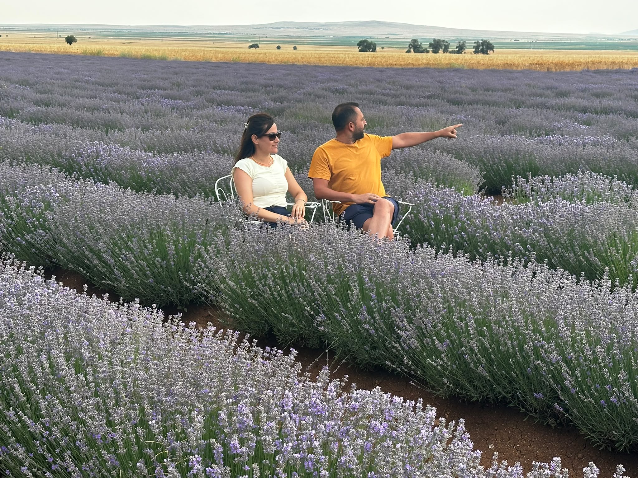 KONYA BÜYÜKŞEHİR LAVANTA DESTEĞİYLE KONYA OVASINDA ÖRNEK BİR DÖNÜŞÜME ÖNCÜLÜK EDİYOR