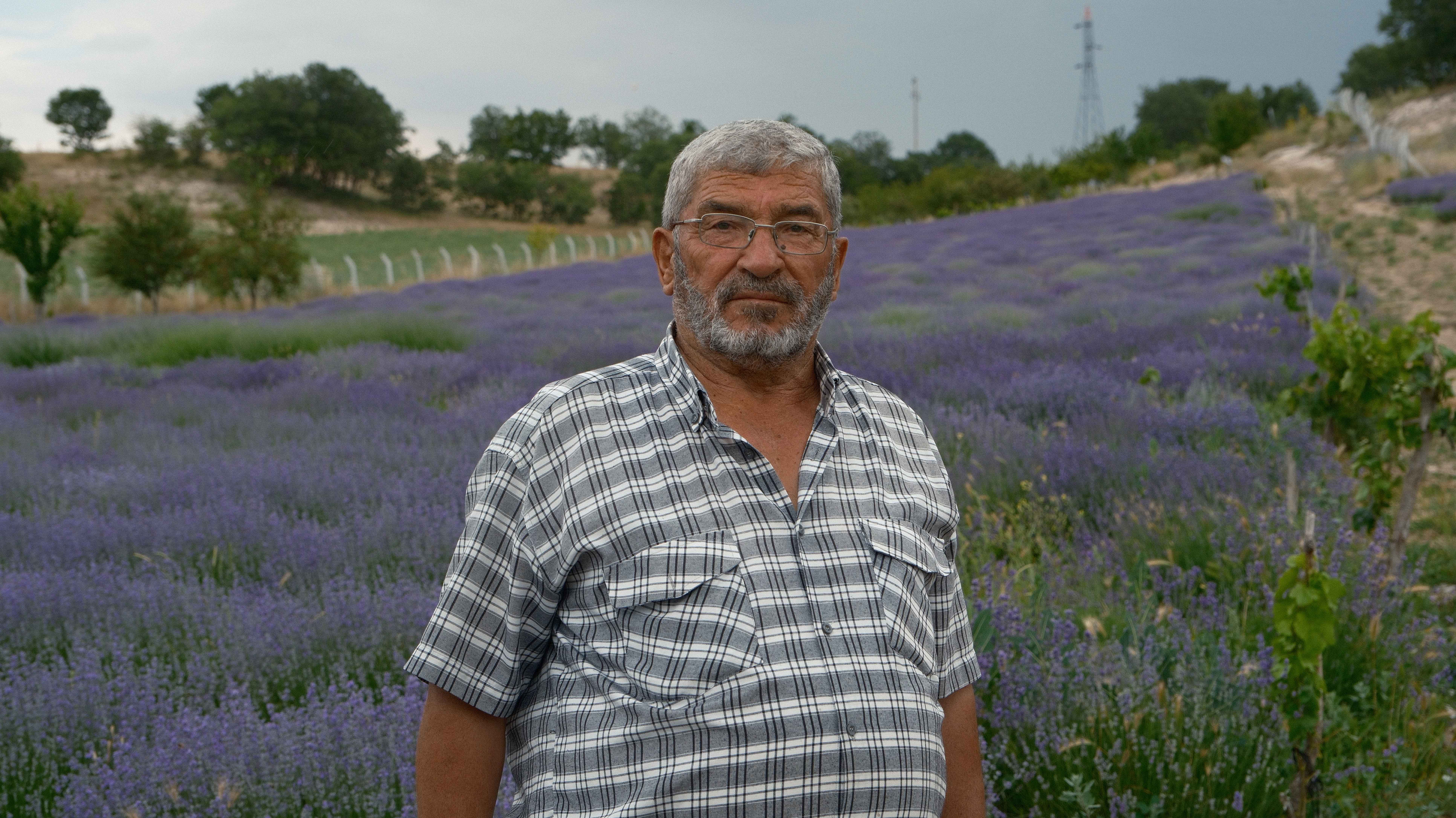 KONYA BÜYÜKŞEHİR LAVANTA DESTEĞİYLE KONYA OVASINDA ÖRNEK BİR DÖNÜŞÜME ÖNCÜLÜK EDİYOR