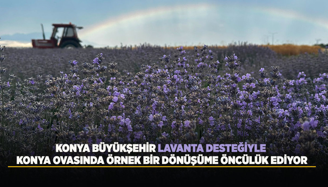 KONYA BÜYÜKŞEHİR LAVANTA DESTEĞİYLE KONYA OVASINDA ÖRNEK BİR DÖNÜŞÜME ÖNCÜLÜK EDİYOR