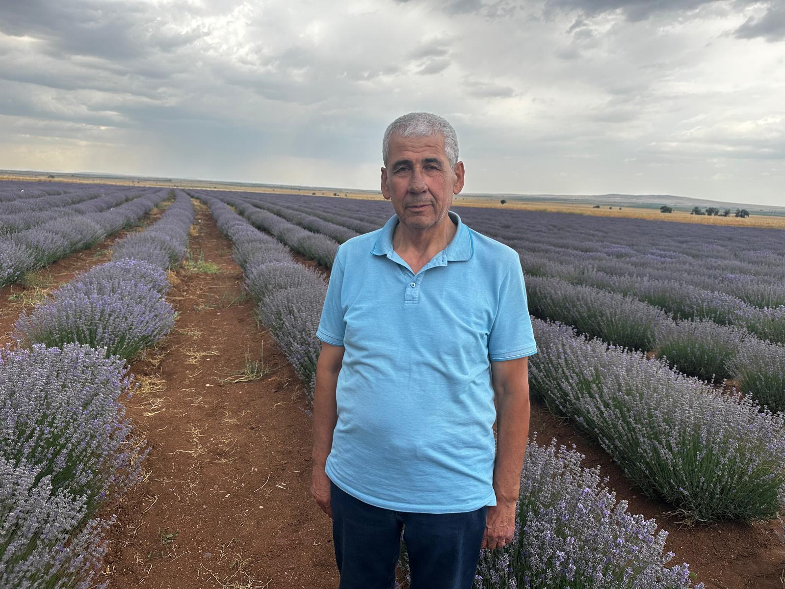KONYA BÜYÜKŞEHİR LAVANTA DESTEĞİYLE KONYA OVASINDA ÖRNEK BİR DÖNÜŞÜME ÖNCÜLÜK EDİYOR