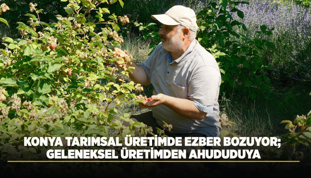 KONYA TARIMSAL ÜRETİMDE EZBER BOZUYOR; GELENEKSEL ÜRETİMDEN AHUDUDUYA