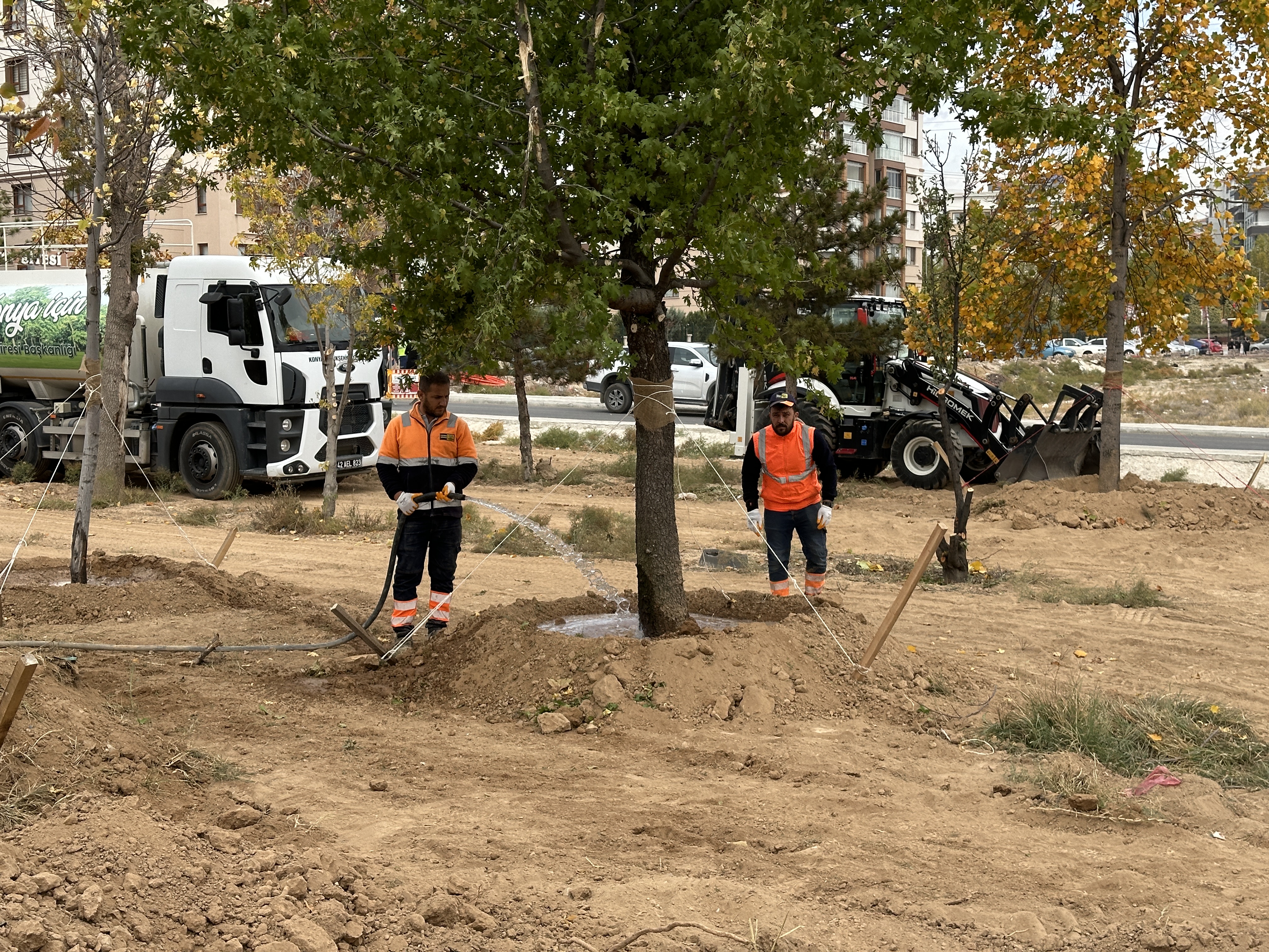KONYA BÜYÜKŞEHİR, RAYLI SİSTEM ÇALIŞMALARI ESNASINDA KALDIRDIĞI HER AĞACI YENİDEN TOPRAKLA BULUŞTURUYOR