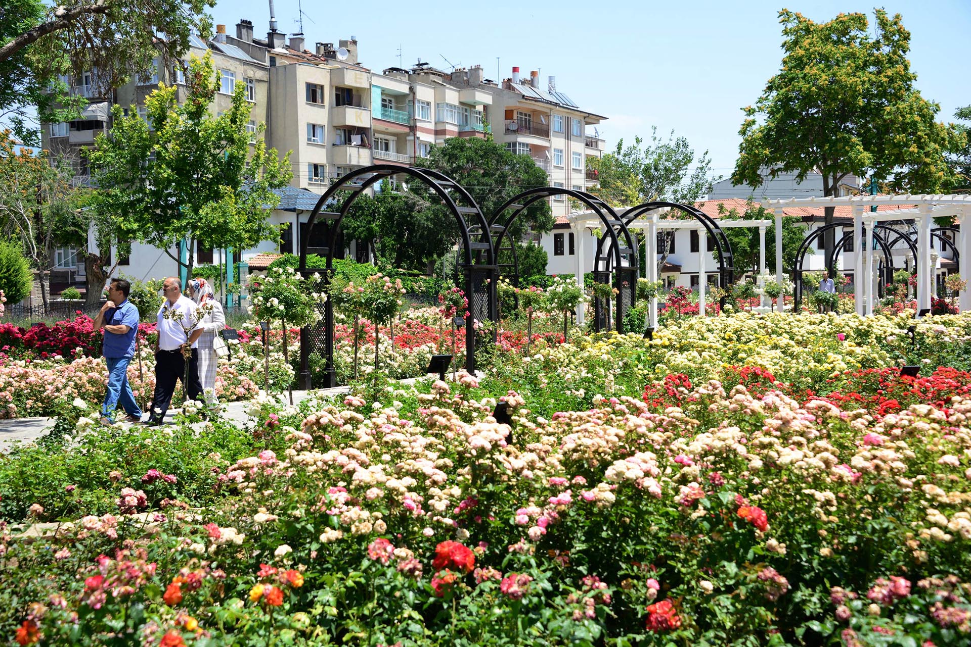 KÜLTÜRPARK