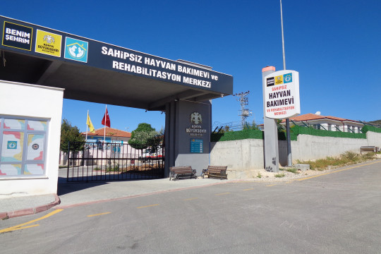 SAHİPSİZ HAYVAN BAKIMEVİ VE REHABİLİTASYON MERKEZİ