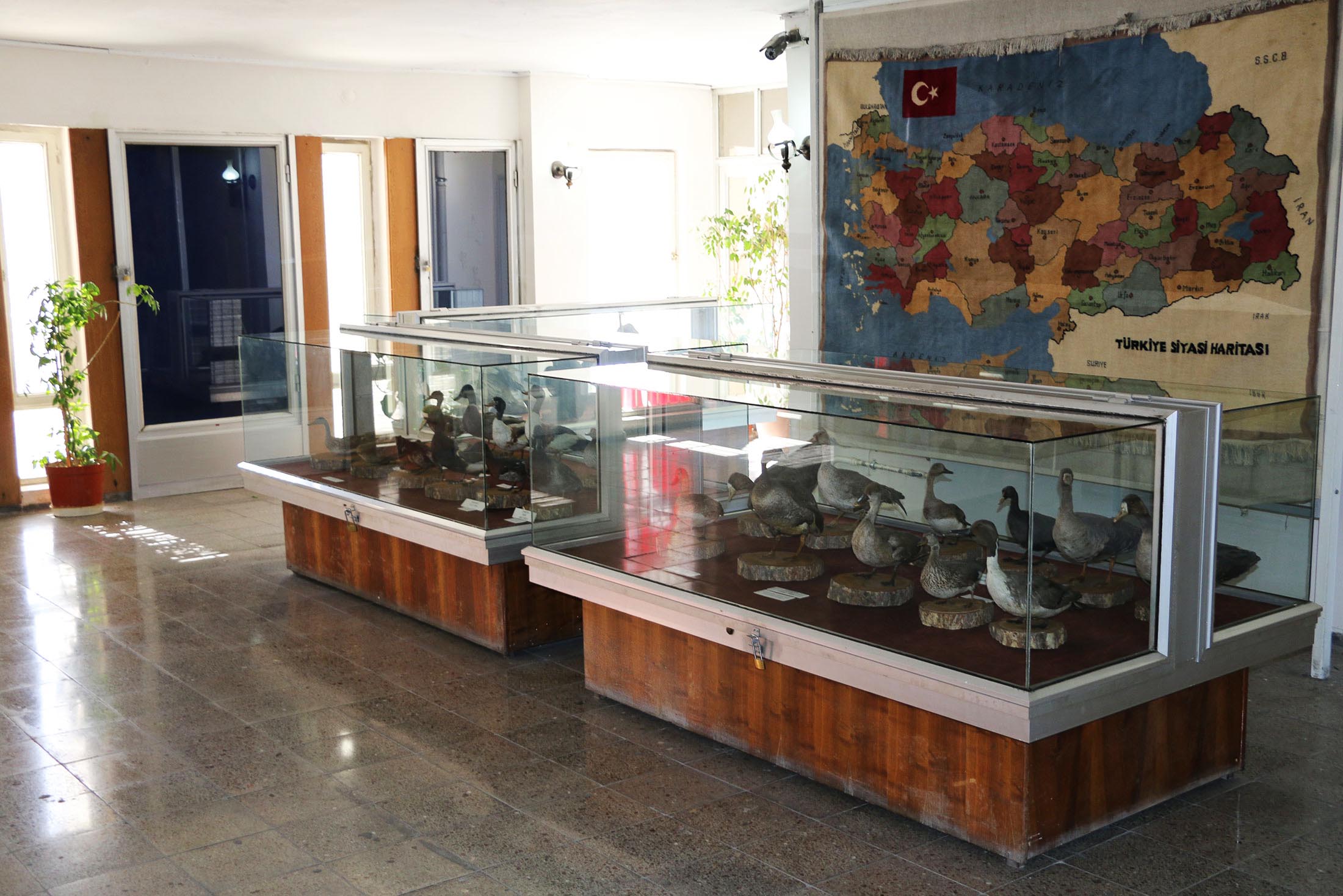 KOYUNOĞLU ŞEHİR MÜZE VE KÜTÜPHANESİ