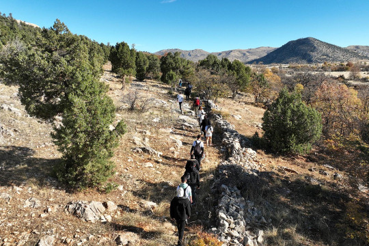 ZENGİBAR YÜRÜYÜŞ YOLU