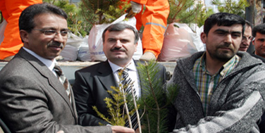 Fidan Dağıtım Kampanyası Büyük İlgi Gördü