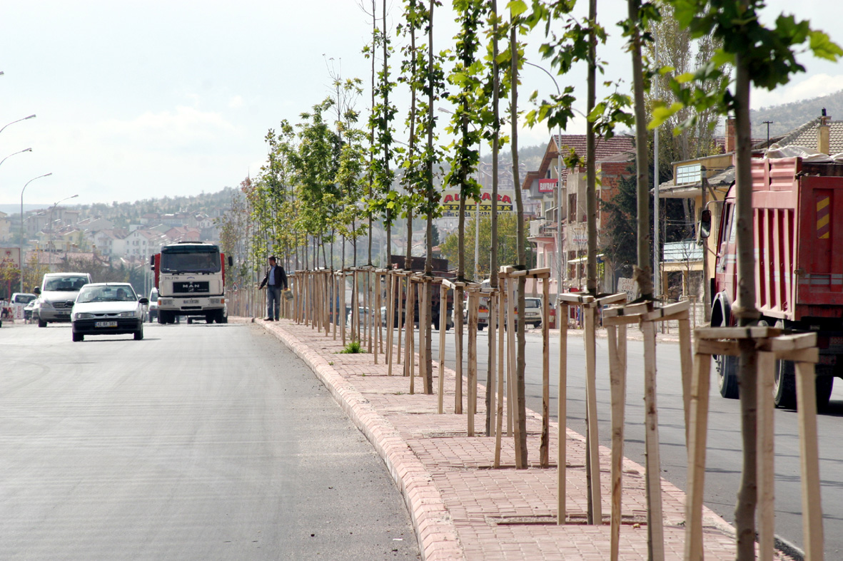 Beyşehir Çevre Yolu'nda Yeşil Kuşak Çalışması