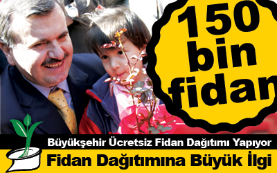 150 Bin Ücretsiz Fidan Dağıtımı Başladı