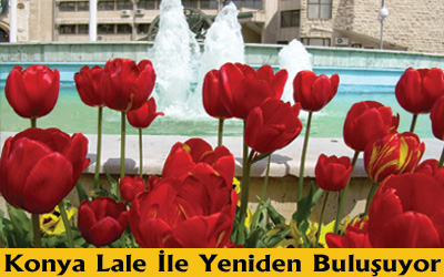 Büyükşehir Belediyesi Lale Şenlikleri