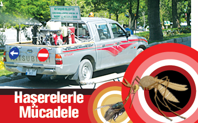 Haşereyle Mücadele Çalışmaları Yaz Boyu Devam Edecek