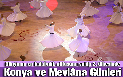Hindistan'da Konya ve Mevlâna Günleri