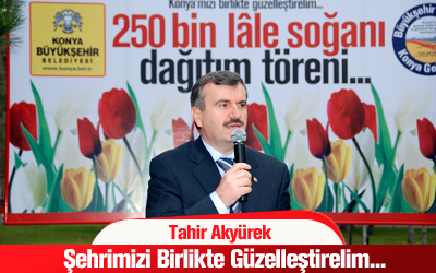Lale Dağıtımı Başladı