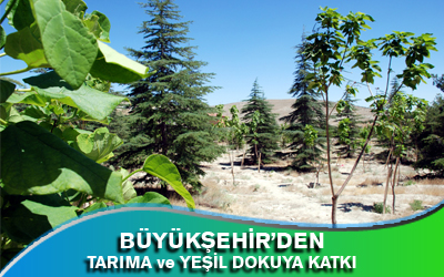 Büyükşehir'den Tarıma ve Yeşil Dokuya Katkı